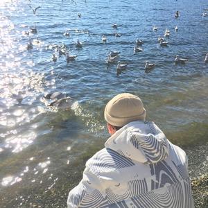 父女孽缘1-100集免费
